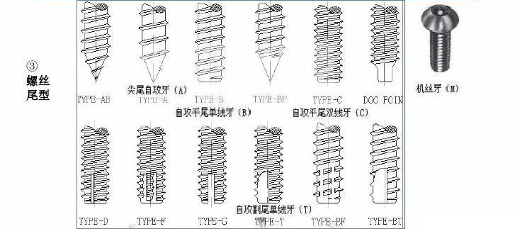 自攻螺絲尾型 自攻螺絲尾型